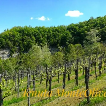 리조트 Tenuta Monteoliveto Intera Struttura In Esclusiva Vesime