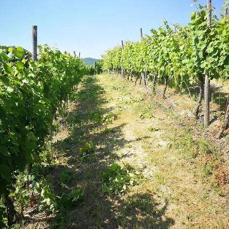Tenuta Monteoliveto Intera Struttura In Esclusiva * Vesime