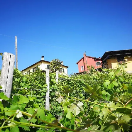 리조트 Tenuta Monteoliveto Intera Struttura In Esclusiva Vesime