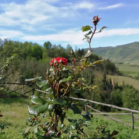 Tenuta Monteoliveto Intera Struttura In Esclusiva * Vesime